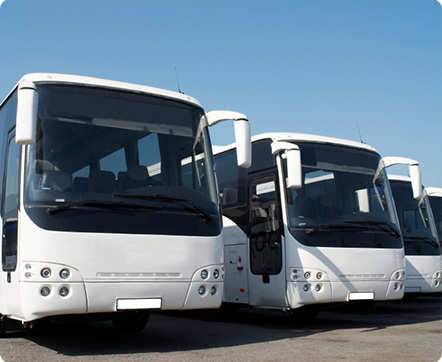 Antaeus Rent a Car Pvt Ltd : coach and bus services for wedding